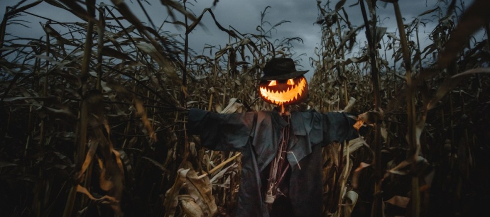 Scarecrow with a glowing pumpkin head in a dark cornfield.